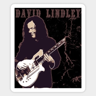 David Lindley // Brown vintage Magnet